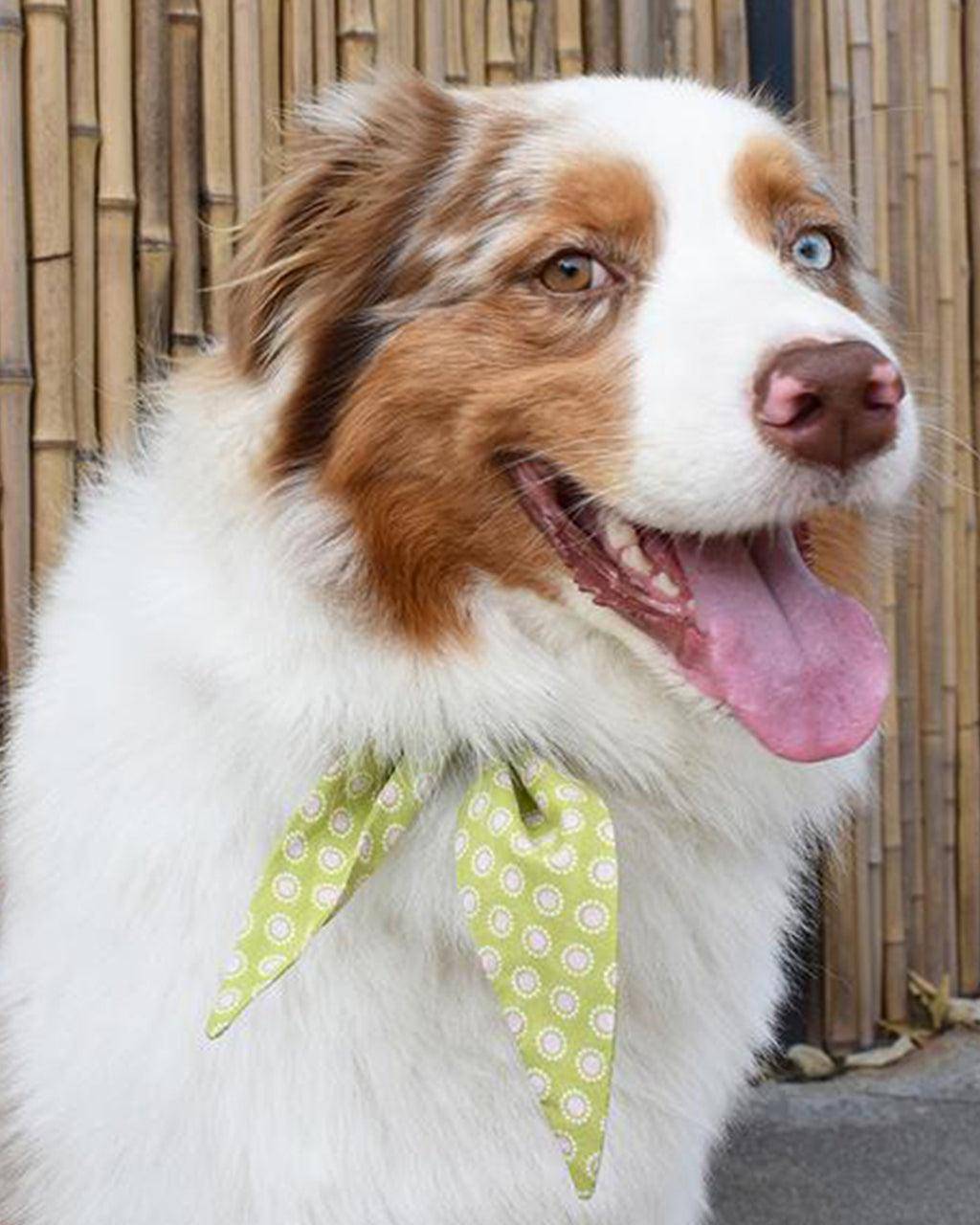 MODERNBEAST - Classic Necktie -