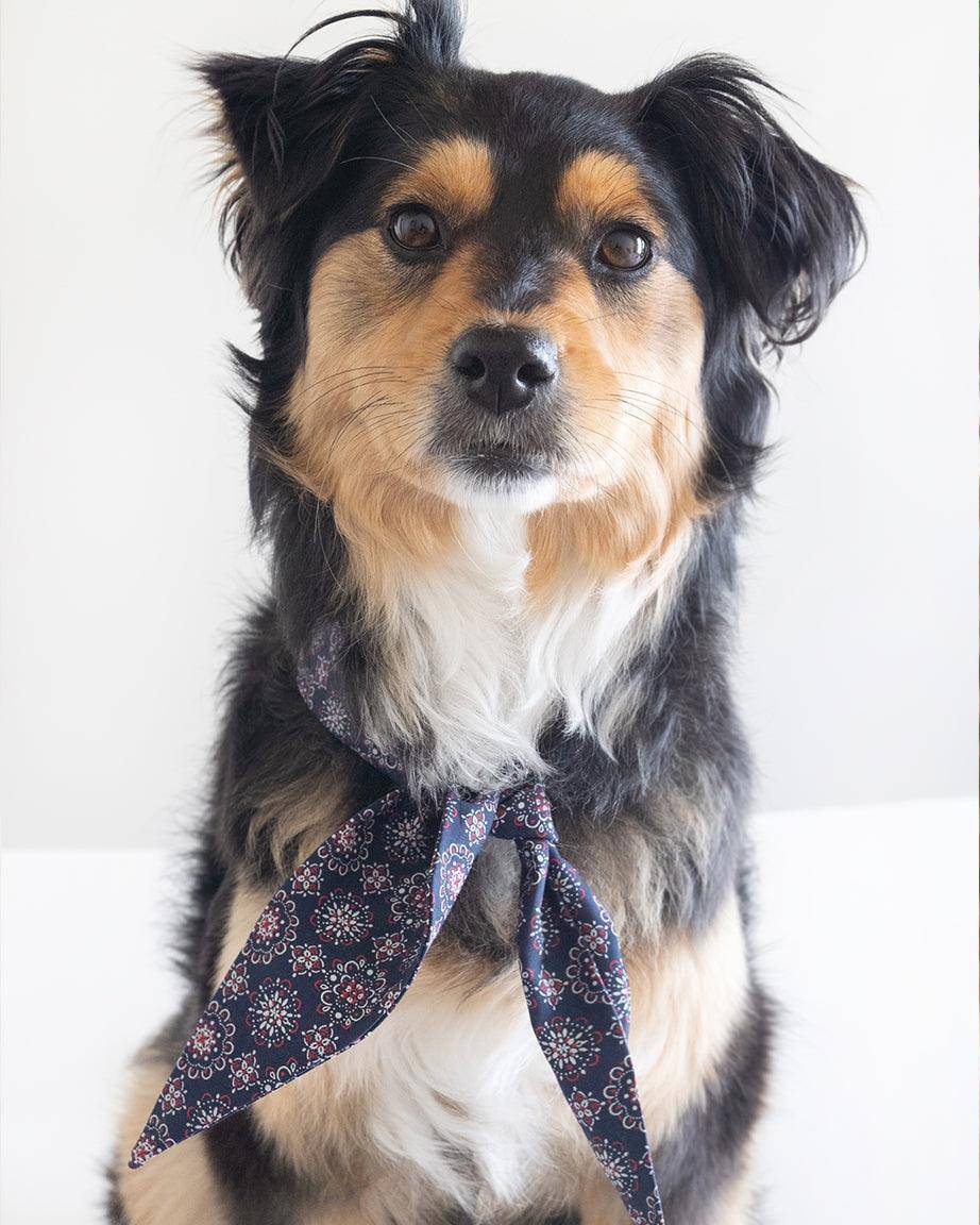 MODERNBEAST - Classic Necktie -