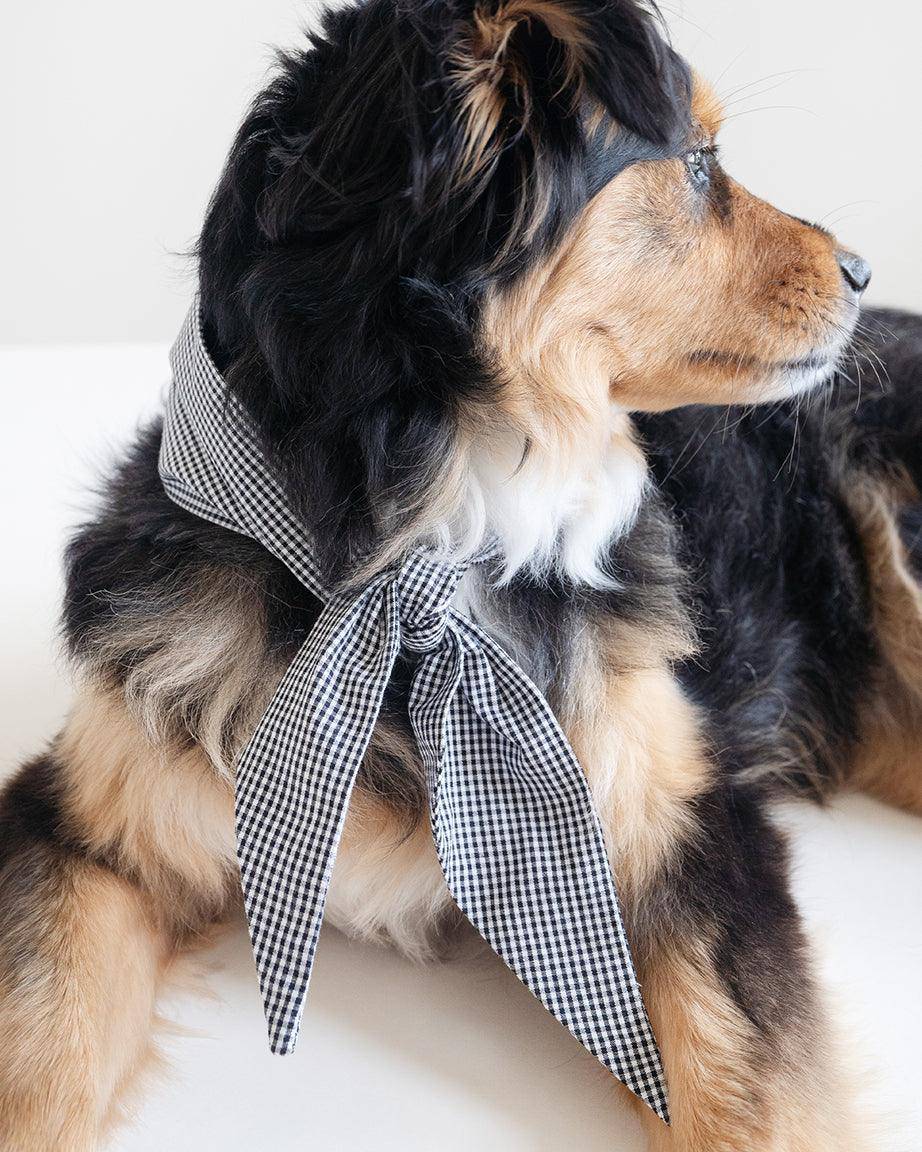 MODERNBEAST - Classic Necktie -
