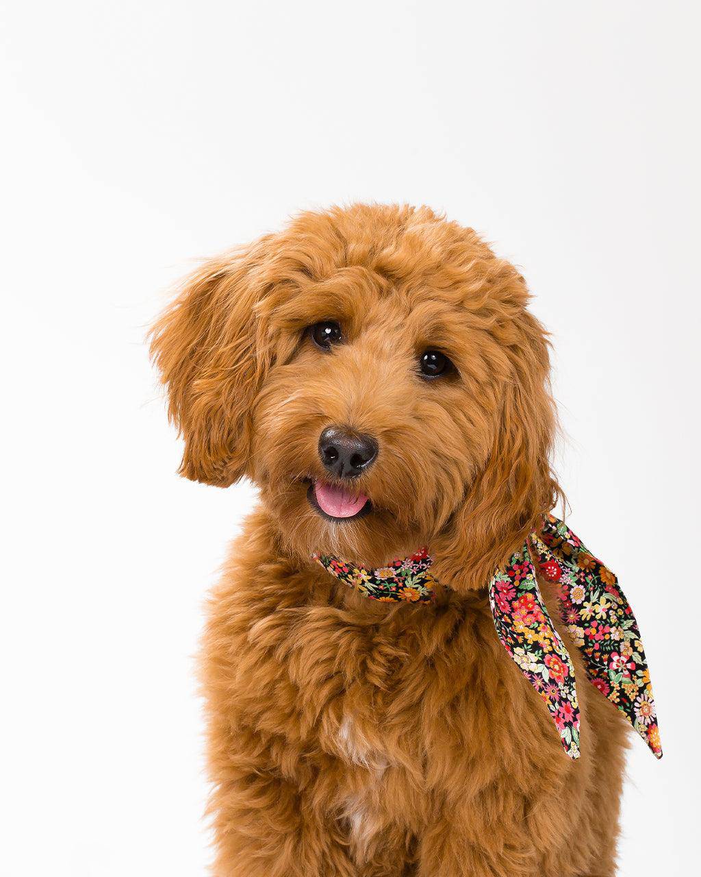MODERNBEAST - Classic Necktie -
