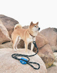 Zippy Paws - Adventure Leash Bag Dispenser - Glacier Blue -