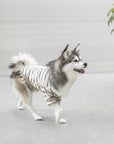 Lambwolf Collective - Chelsea Dog Tee - Earth -