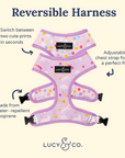 Lucy & Co. - Making Magic Reversible Harness -