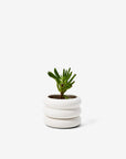 Areaware - Stacking Planter Mini Short - White -
