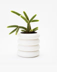 Areaware - Stacking Planter - Tall -