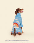 Little Beast - Silver Linings Sweater -