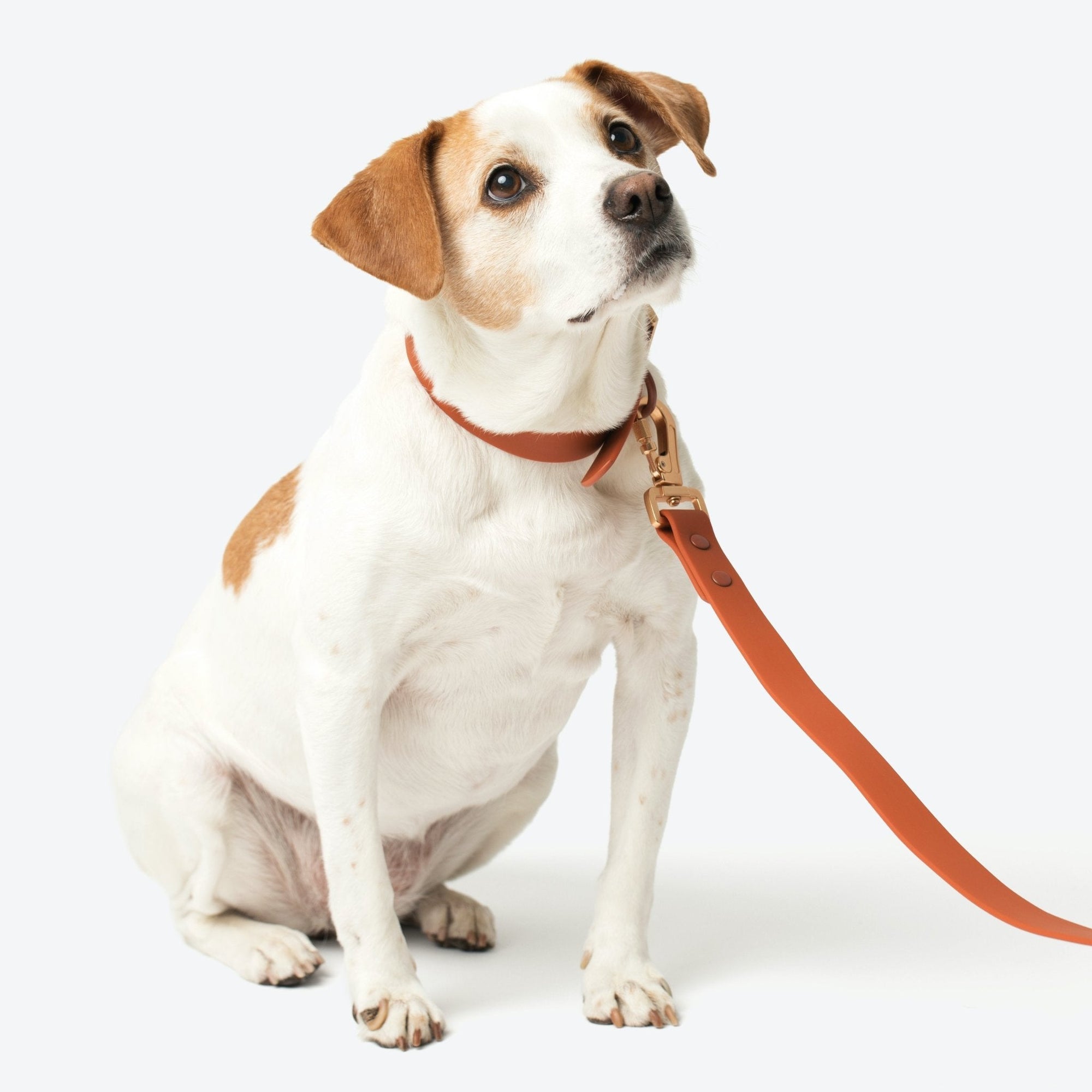 Lucy & Co. - Waterproof PVC Collar - Terracotta -