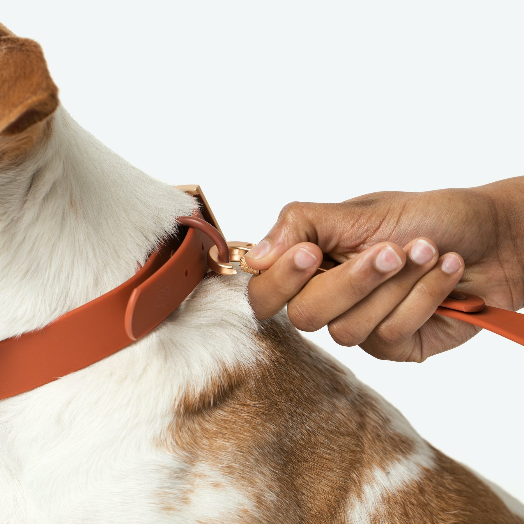 Lucy & Co. - Waterproof PVC Collar - Terracotta -