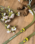 Wander! Collar & Leash Kit Martini - FURRY MUSE WAN - CKIT - S - OL