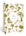 Papier - Mushroom Recipe Journal -