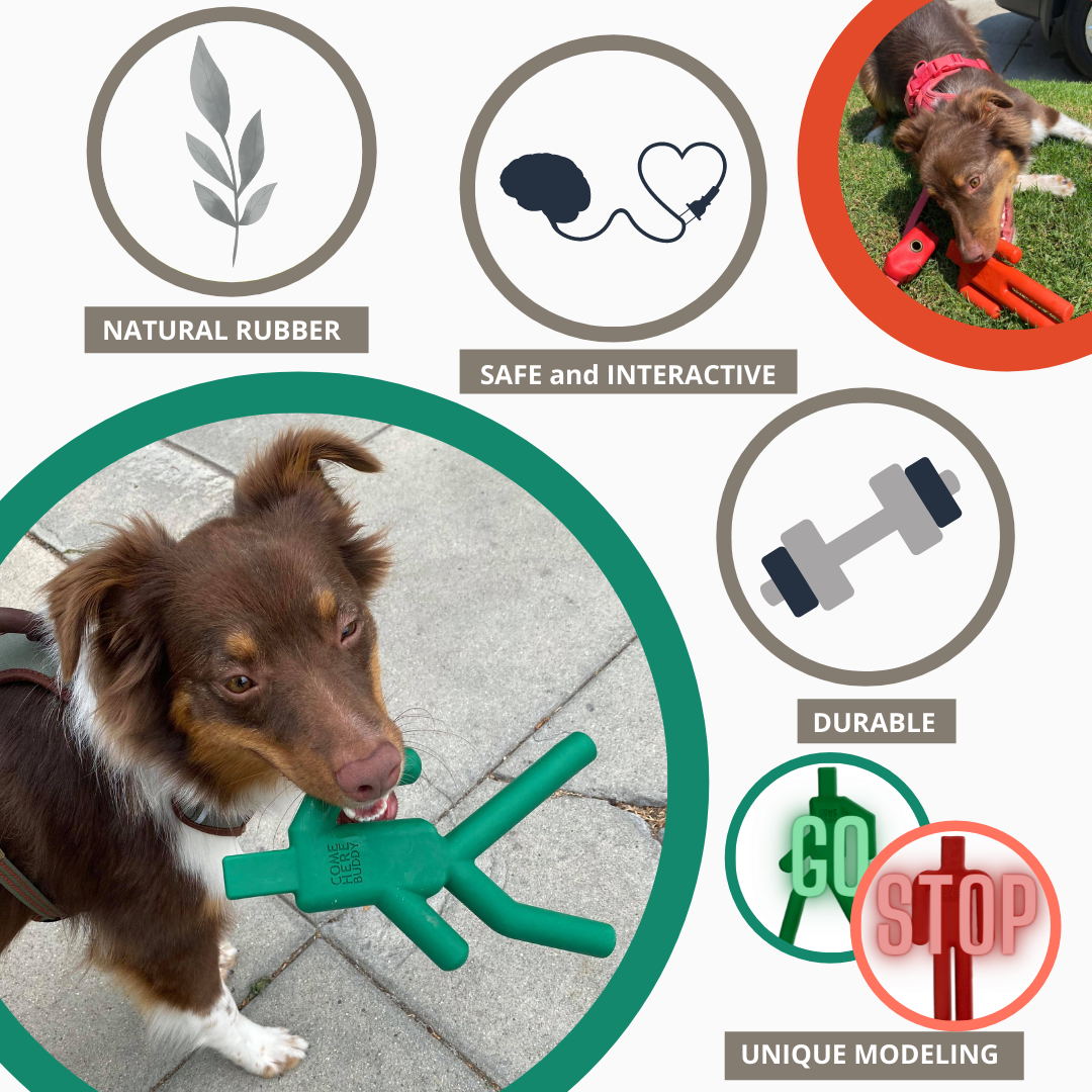 Come Here Buddy - Dog Chew Toy Set -