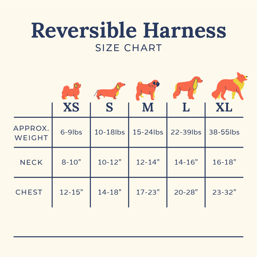 Lucy &amp; Co. - Fresh Berries No-Pull Harness -