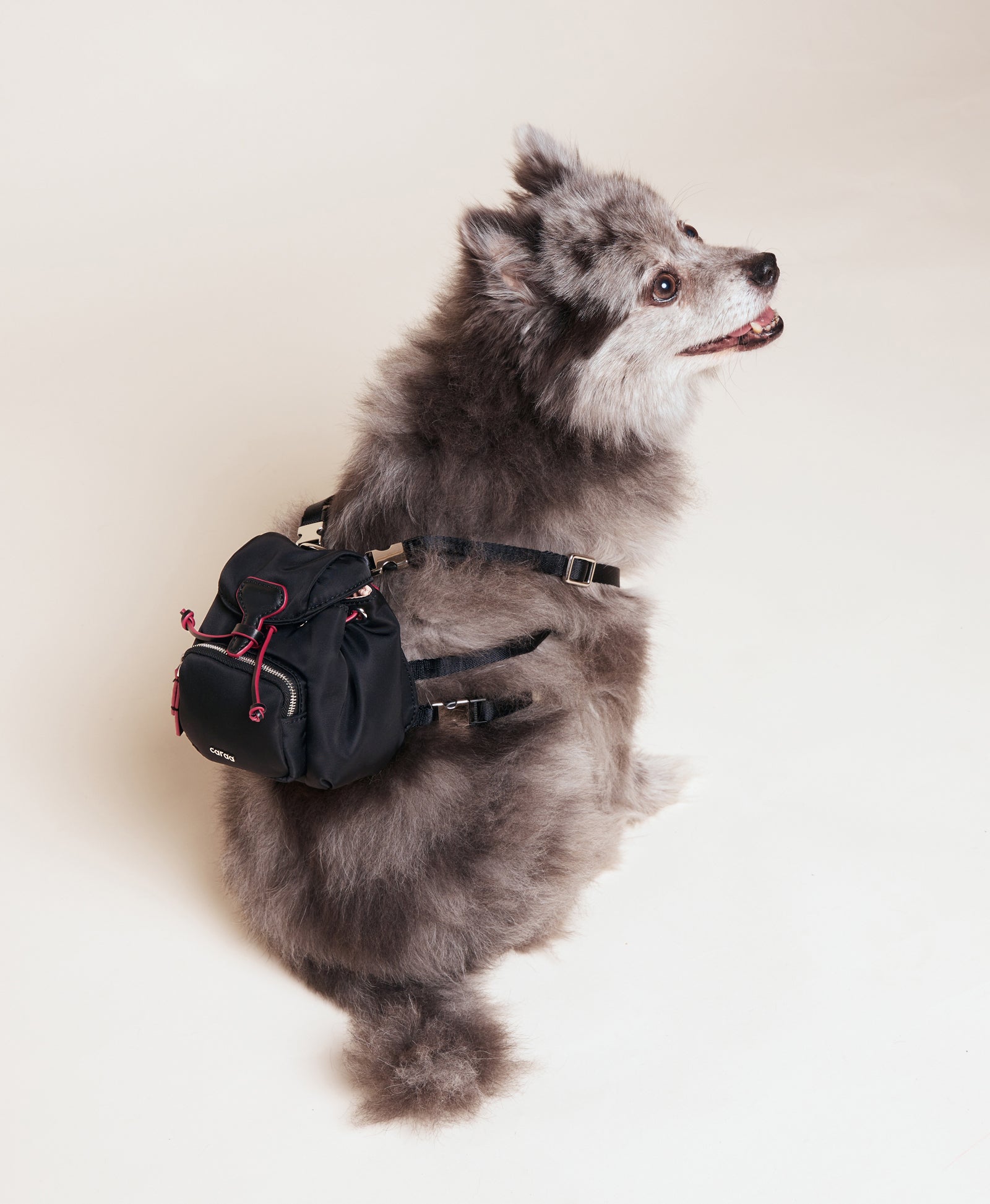 Caraa - Metropolitan Dog Backpack - Black -