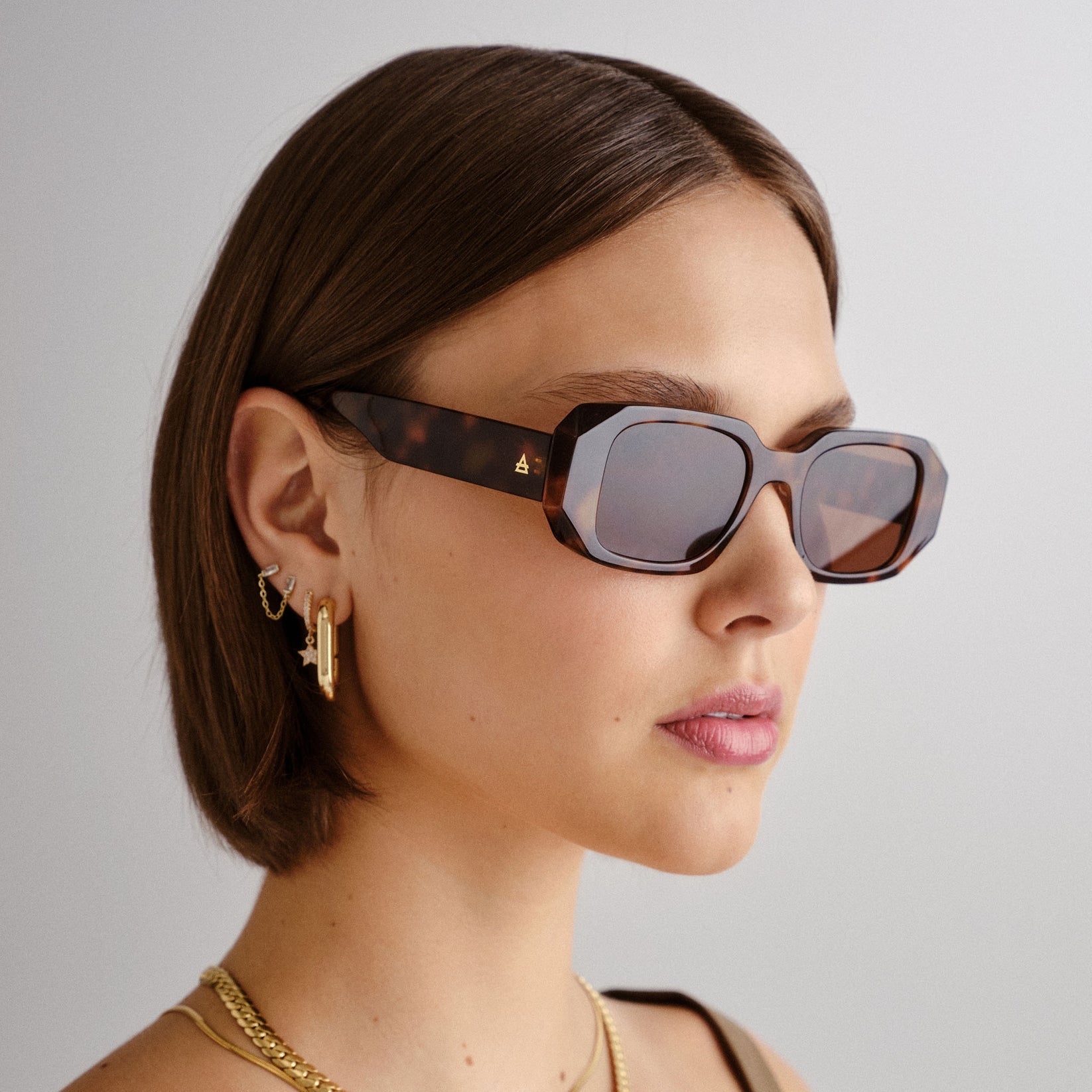 Aire - Ascendant Sunglasses - Dark Tort -