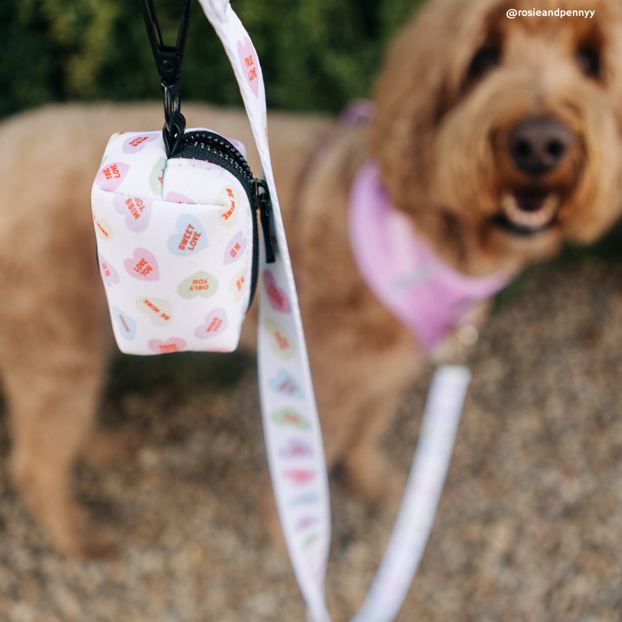Lucy & Co. - Talk About Love Leash -