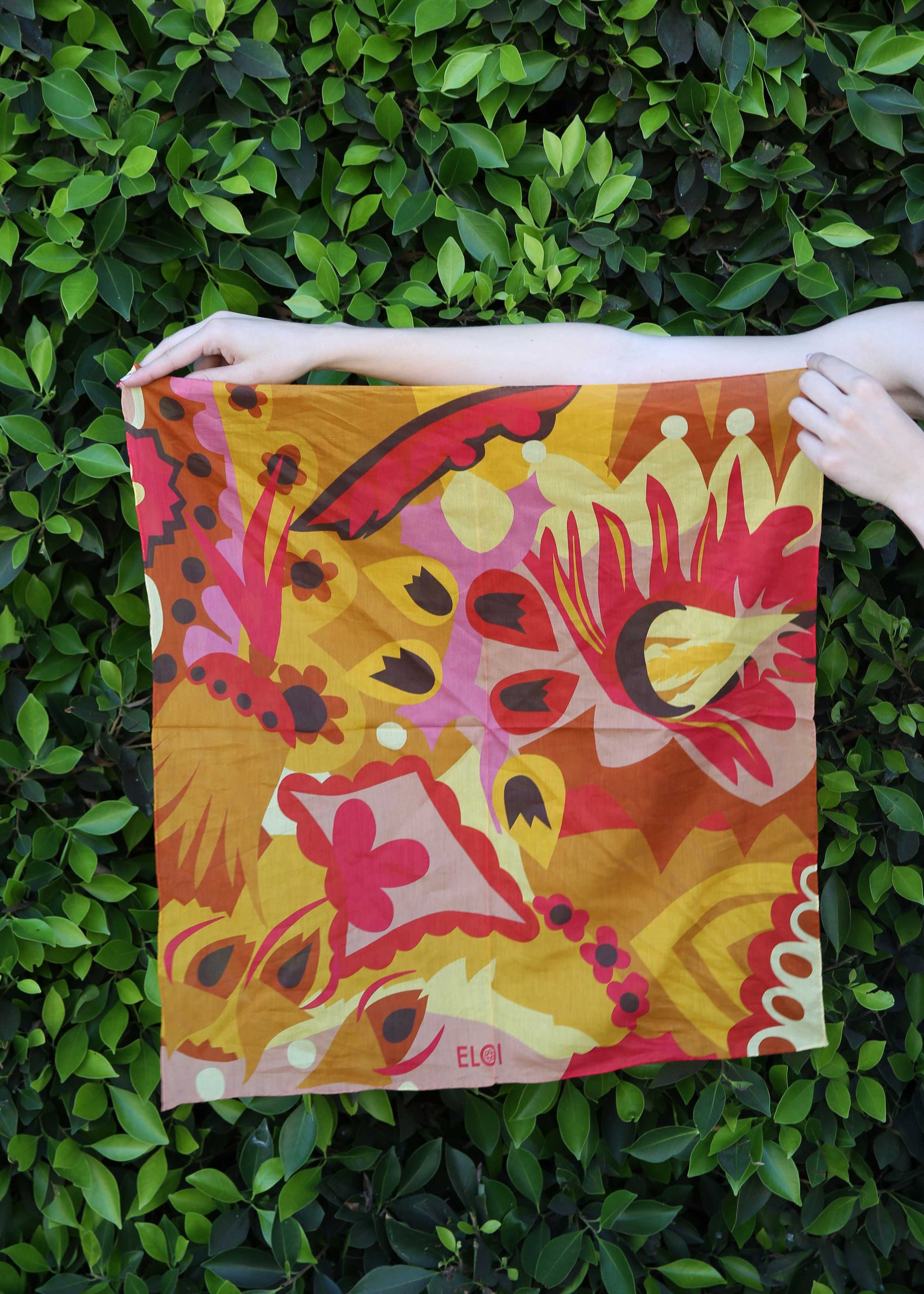Eloi - Jerry Brown Scarf -