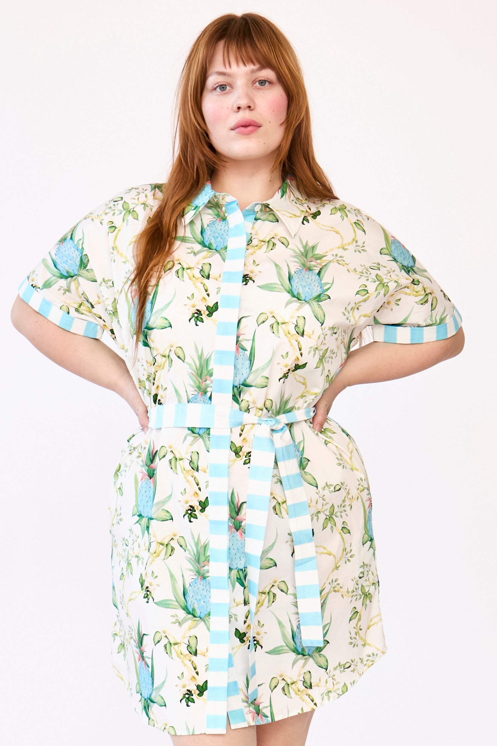 Rachel Antonoff - Jenny Shirtdress -