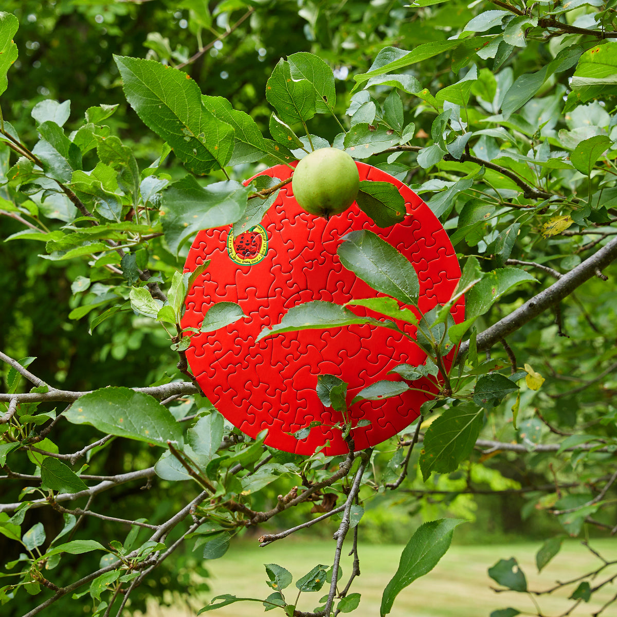 Le Puzz - Flat Apple Puzzle -