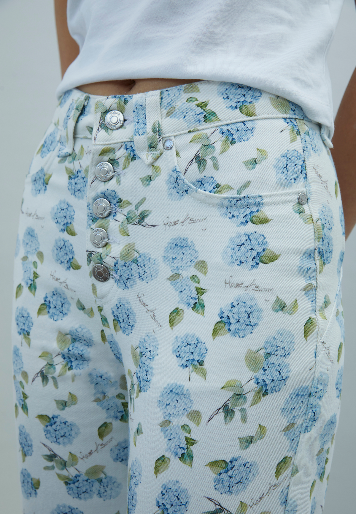 Hydrangea Jessie Jeans