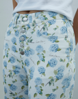 Hydrangea Jessie Jeans
