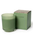 Hinoki Sage Boxed Glass Candle