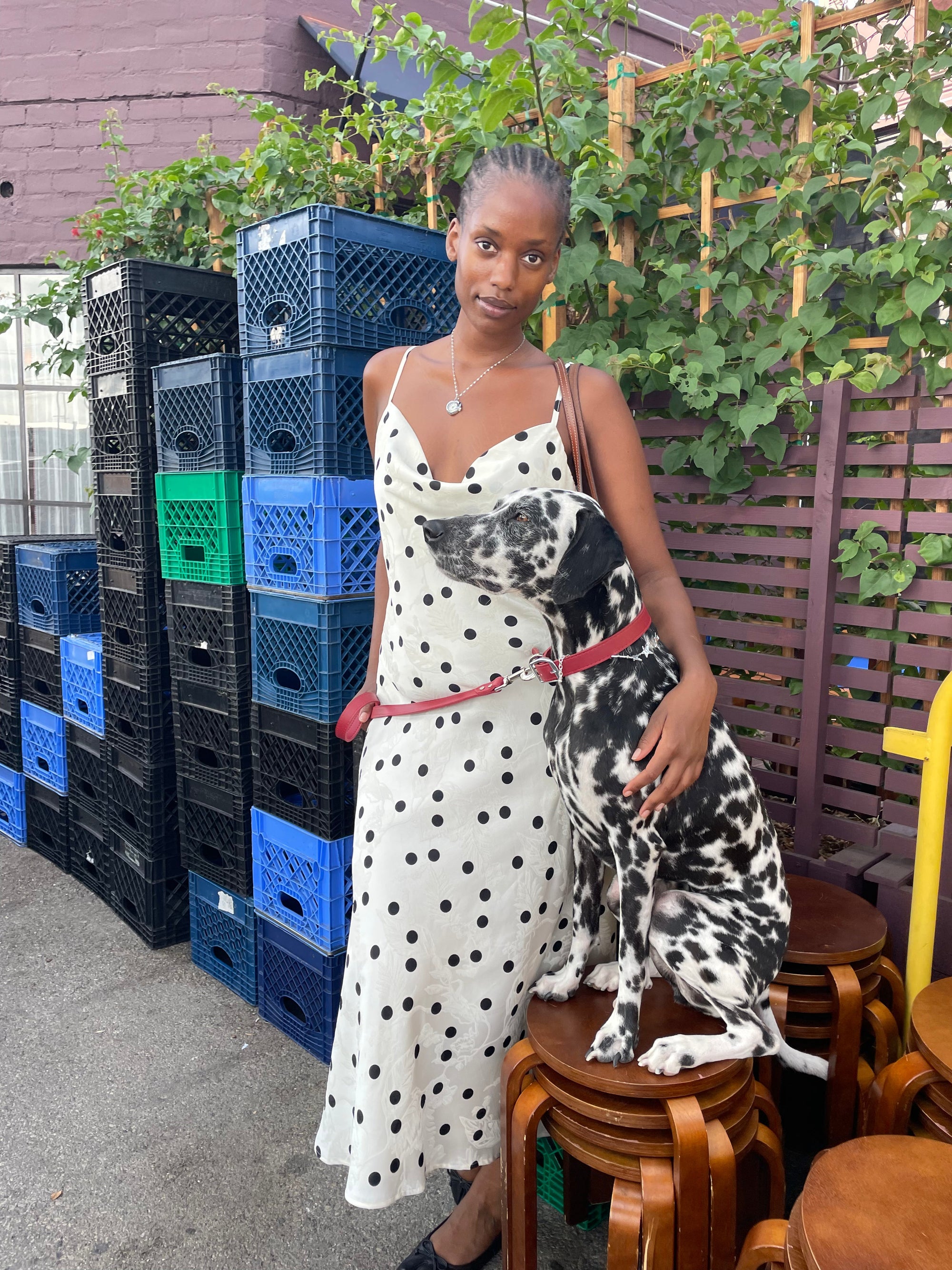 Lisa Says Gah - Griffin Dress - White Dot -