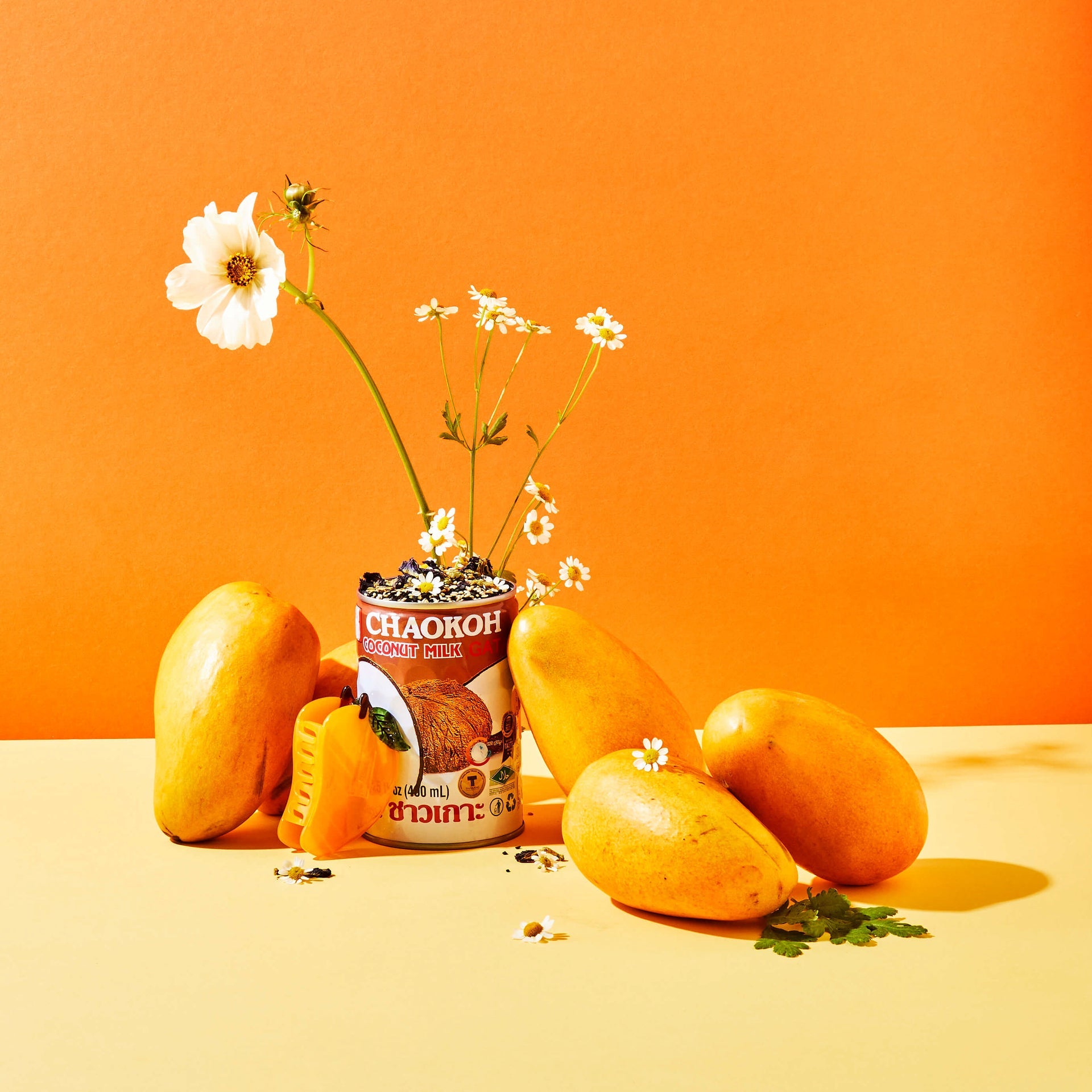 Jenny Lemons - Midi Mango Hair Claw Clip -