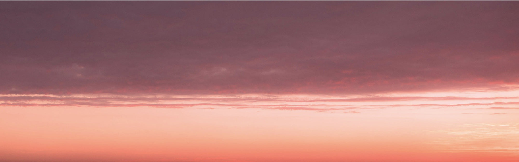 Vitruvi - Love In The Air Diffuser Blend -