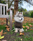 Wander! Multiway Leash -  Martini