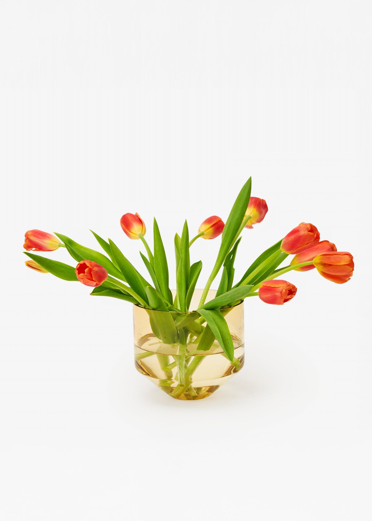 Areaware - Model Three Planter - Amber -