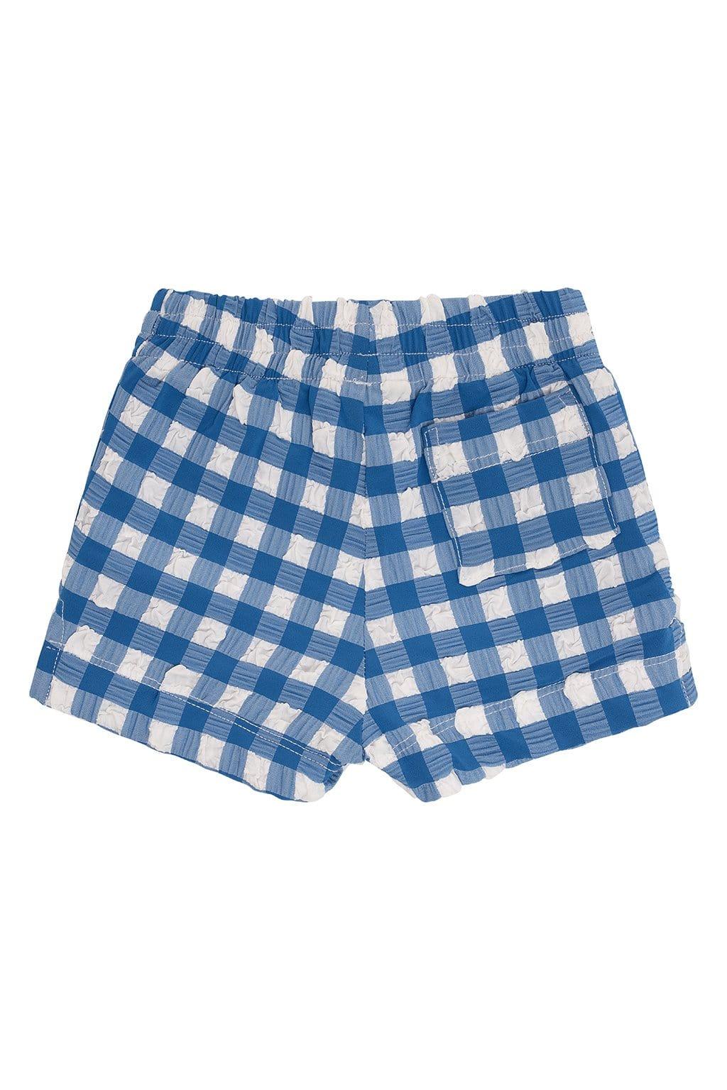 Montce - Blue Gingham Mini Swim Trunk -