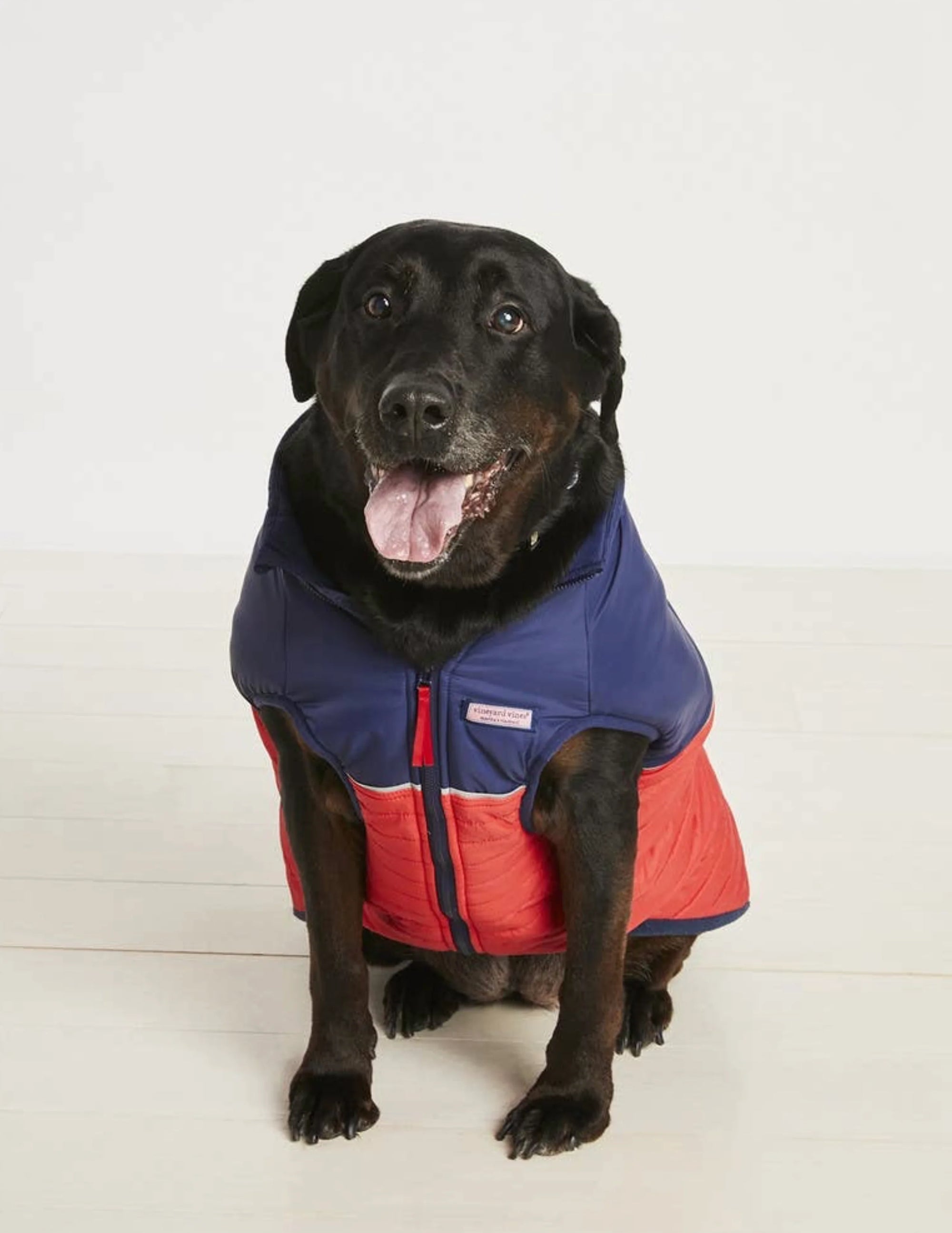 Found My Animal - Pet Puffer Jacket - Blue Blazer -
