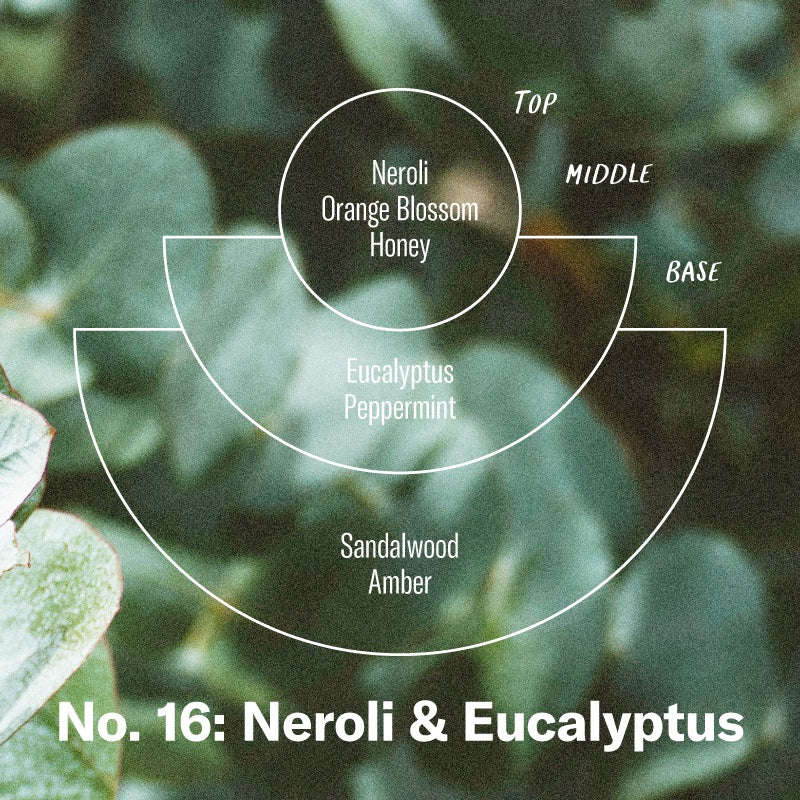P.F. Candle Co. - Neroli & Eucalyptus Candle -