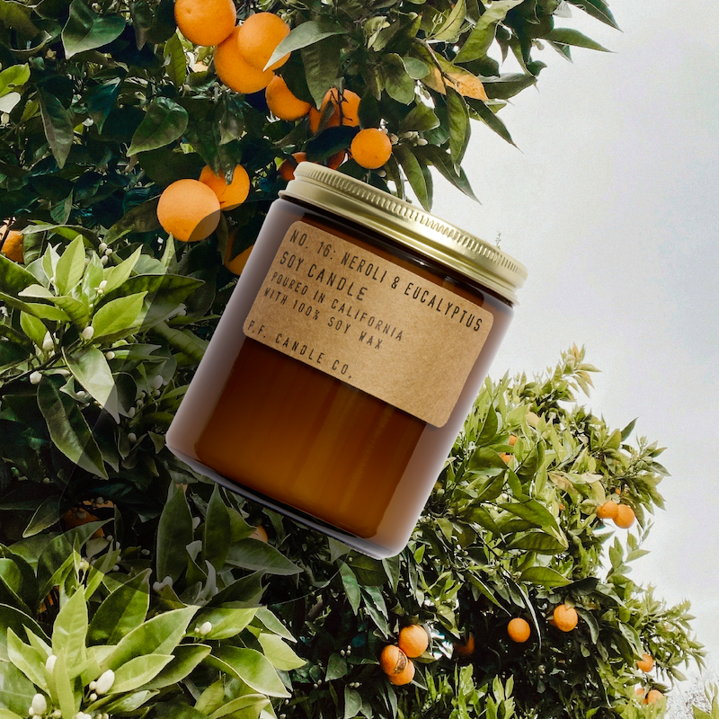 P.F. Candle Co. - Neroli & Eucalyptus Candle -