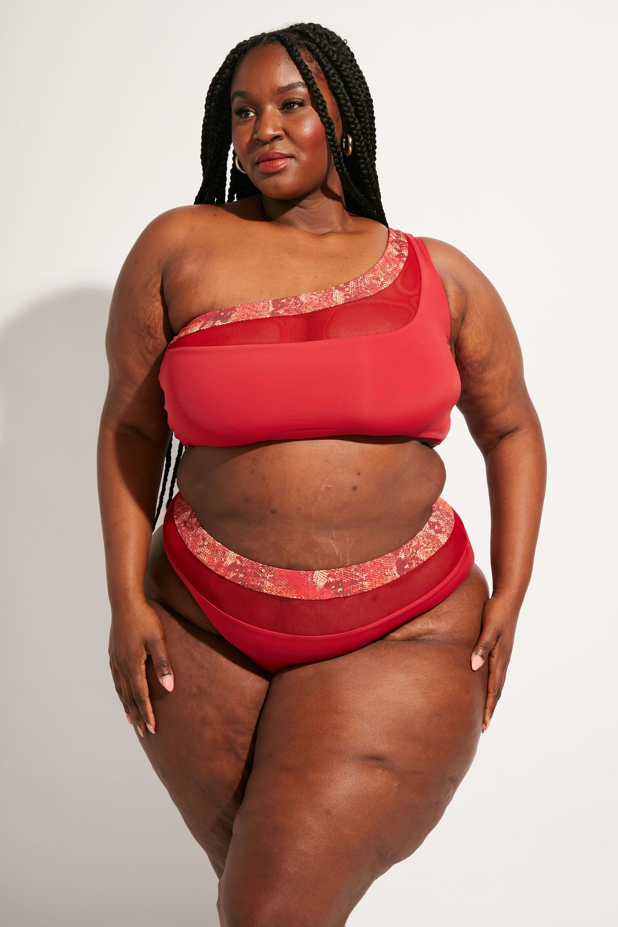 Nomads Swimwear - Bay Bottom II - Iguana/Merlot -