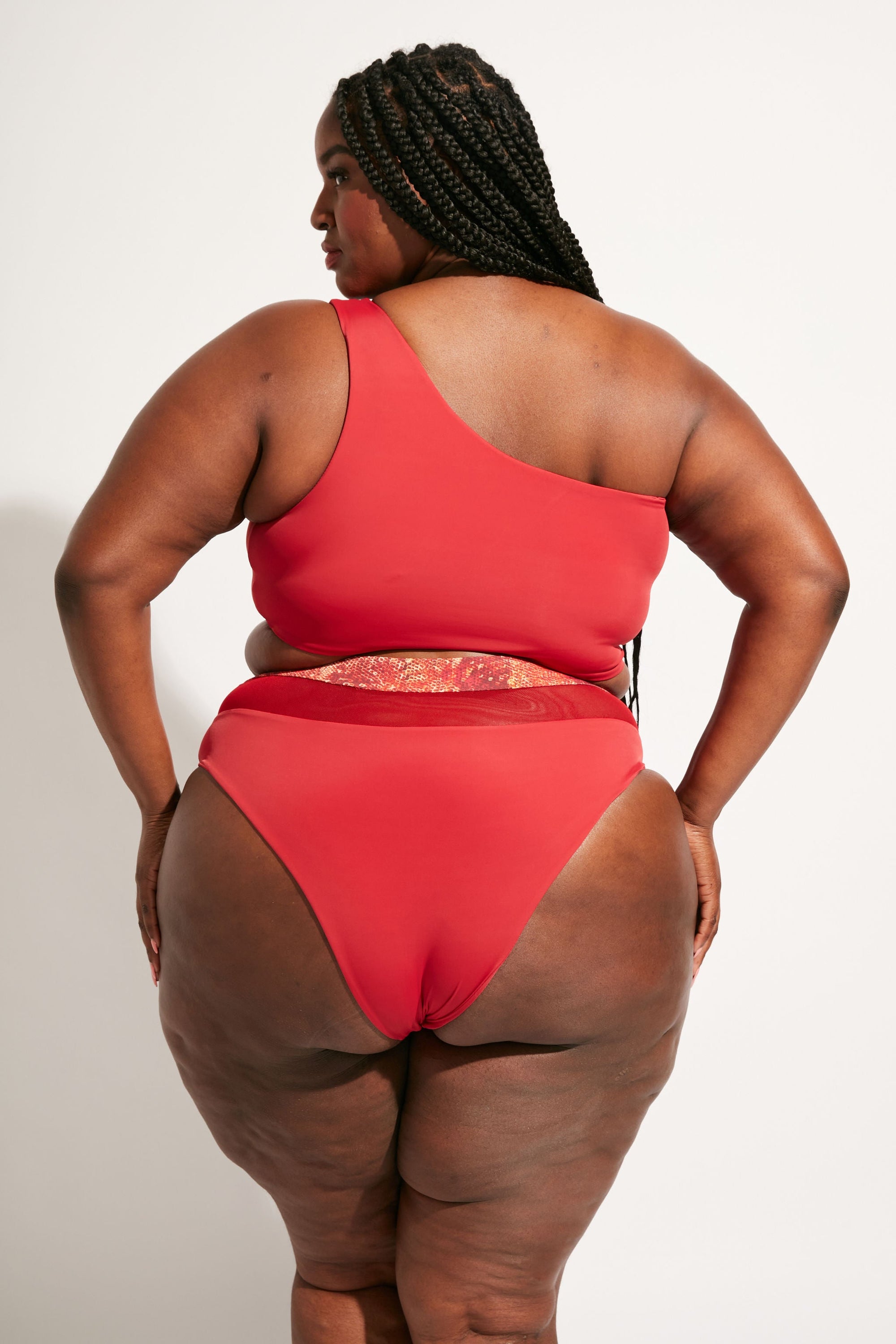 Nomads Swimwear - Bay Bottom II - Iguana/Merlot -