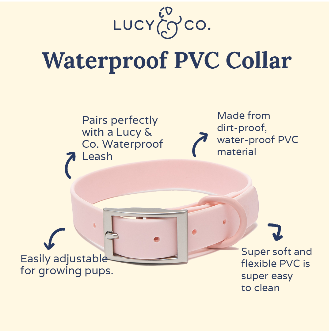 Lucy & Co. - Waterproof PVC Collar - Rosewater -
