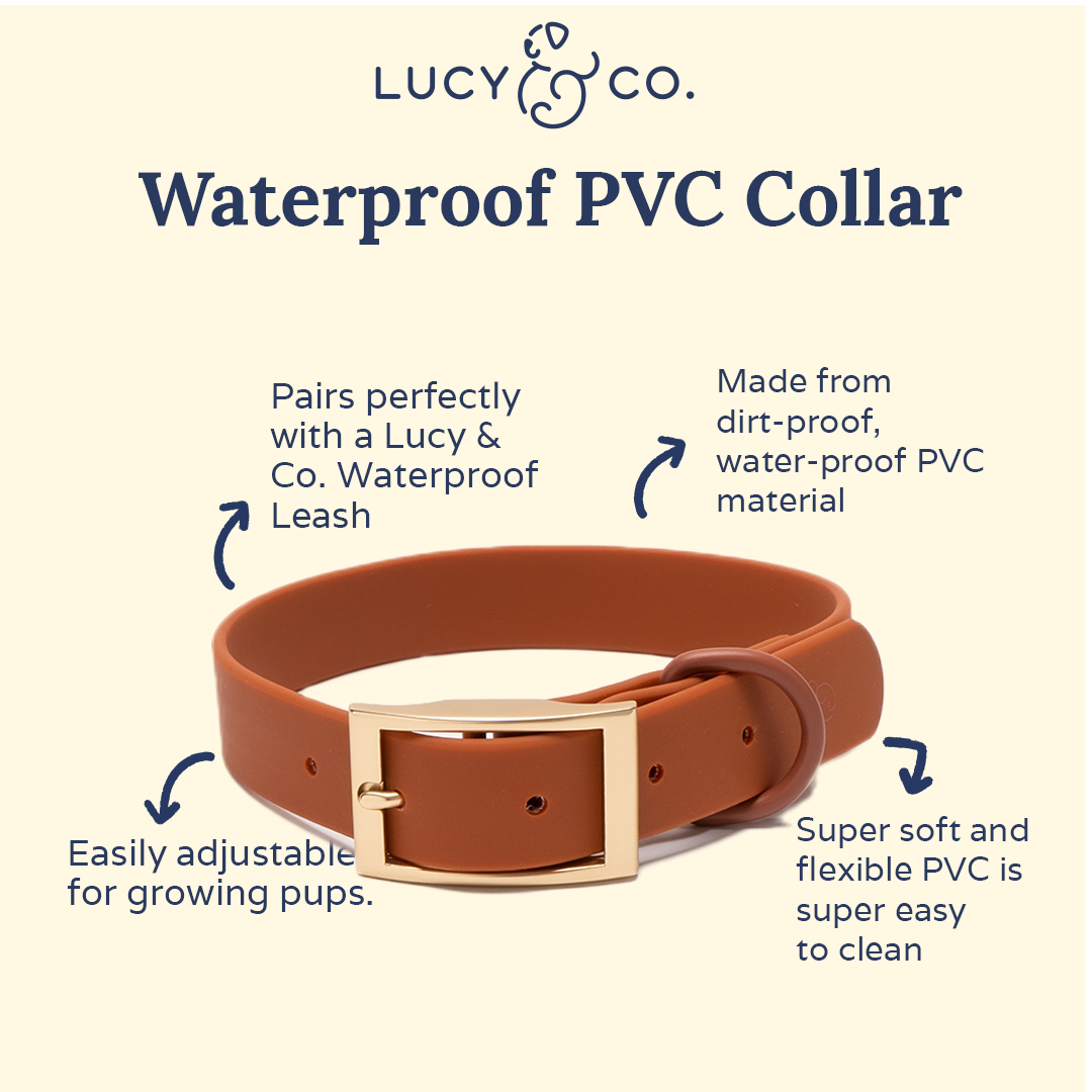 Lucy & Co. - Waterproof PVC Collar - Terracotta -