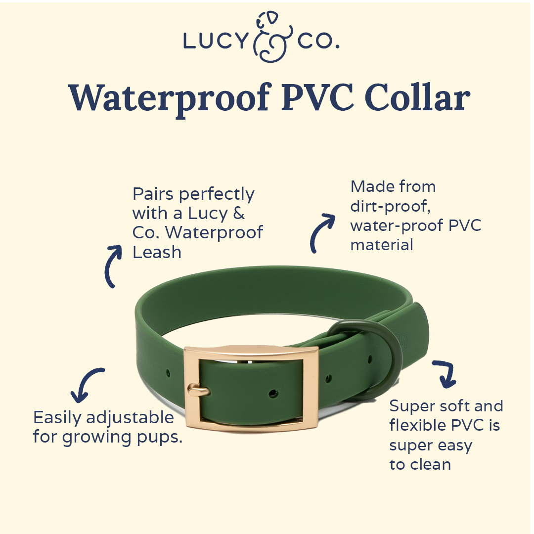 Lucy & Co. - Waterproof PVC Collar - Pine -