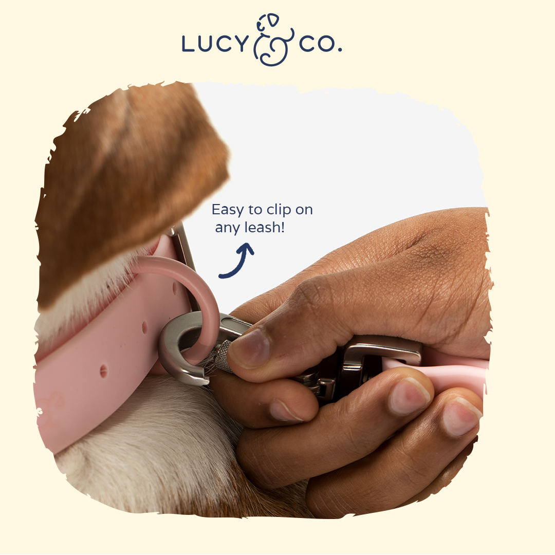 Lucy & Co. - Waterproof PVC Collar - Rosewater -