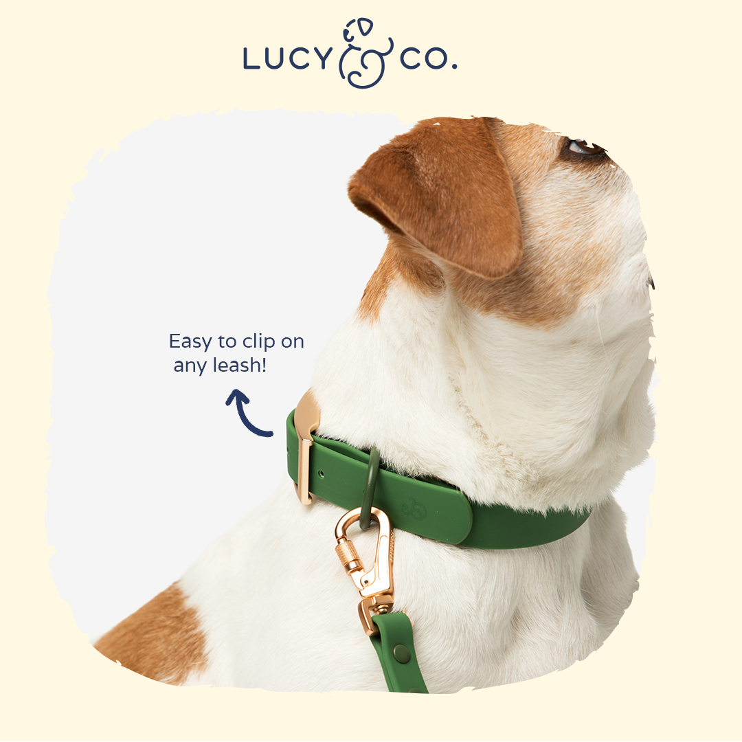 Lucy & Co. - Waterproof PVC Collar - Pine -