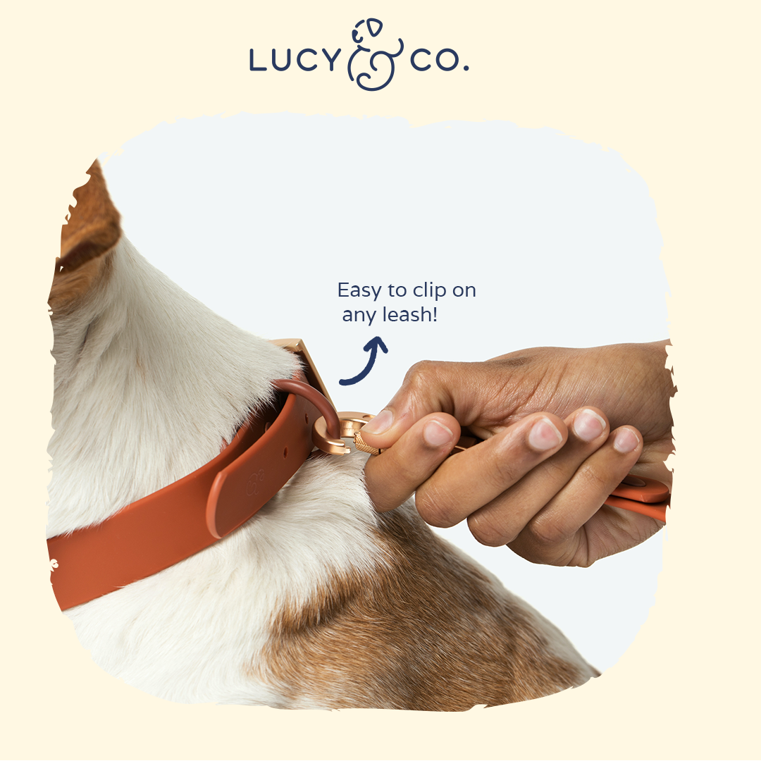 Lucy & Co. - Waterproof PVC Collar - Terracotta -