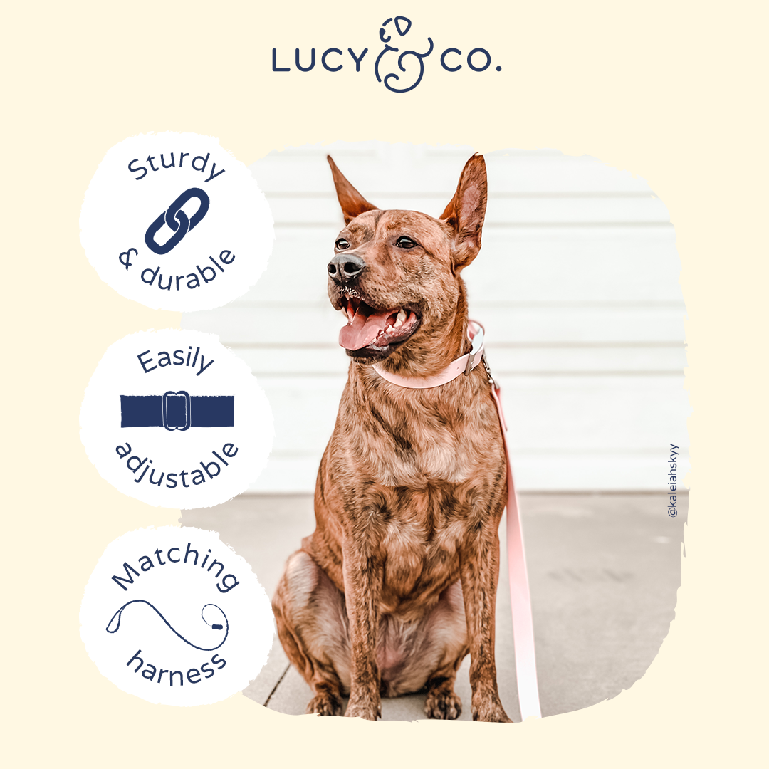 Lucy & Co. - Waterproof PVC Collar - Rosewater -