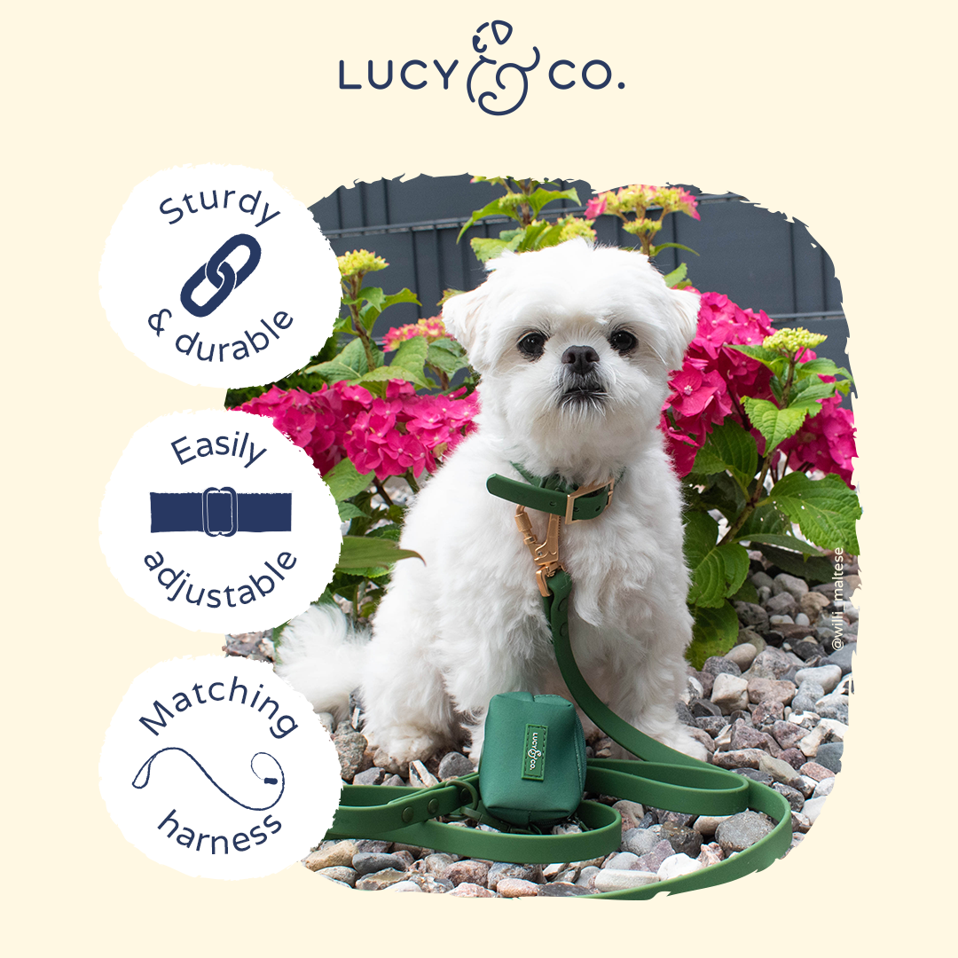 Lucy & Co. - Waterproof PVC Collar - Pine -