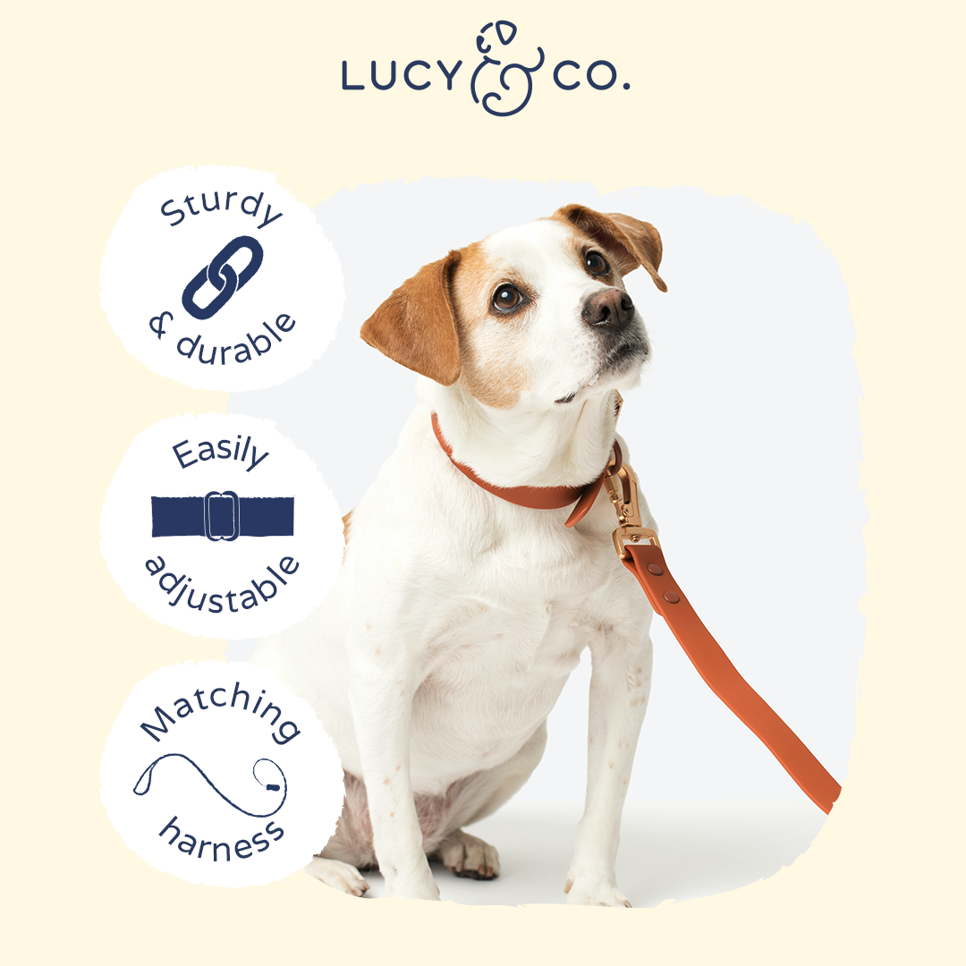 Lucy & Co. - Waterproof PVC Collar - Terracotta -