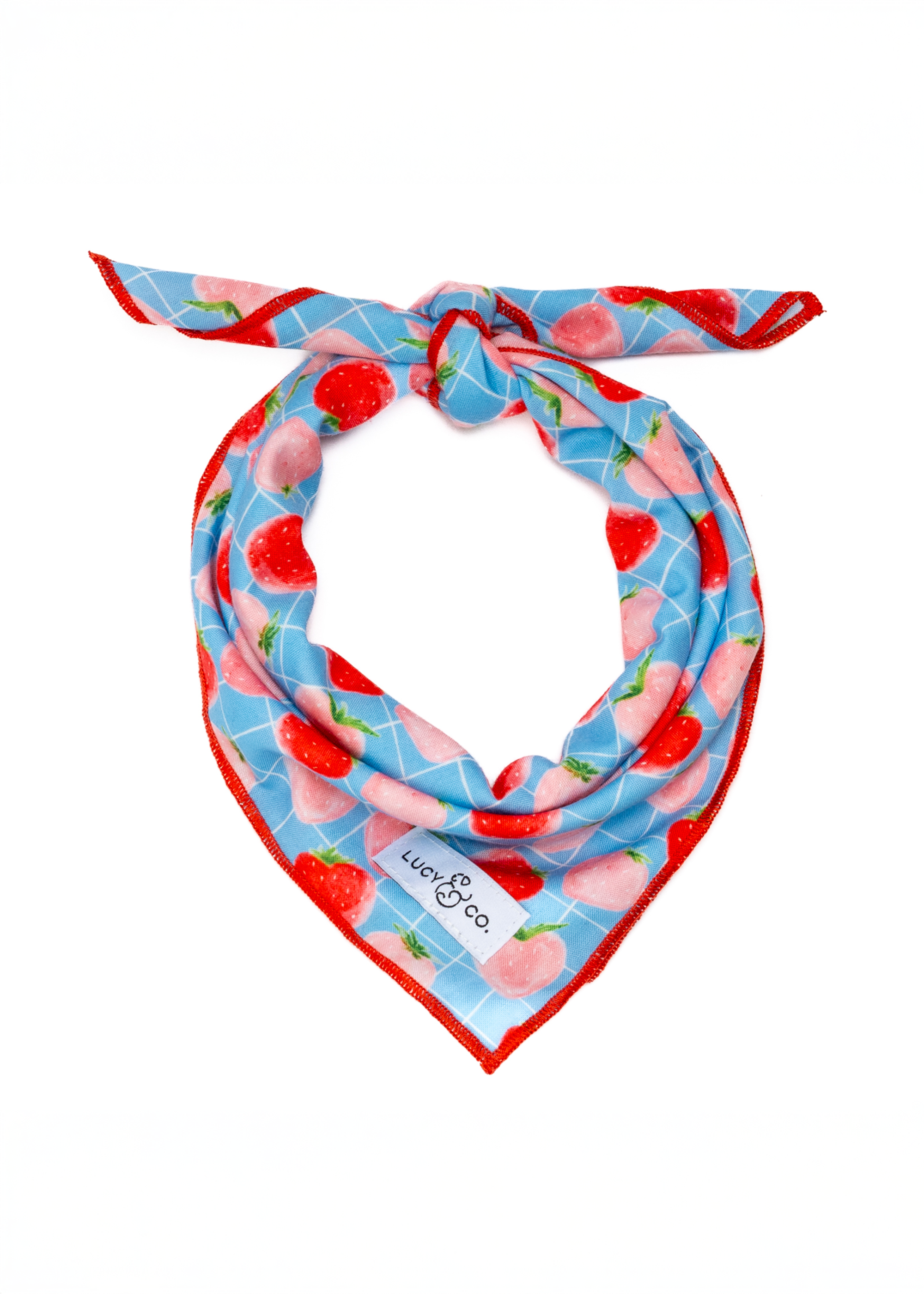 Lucy & Co. - Fresh Berries Bandana -