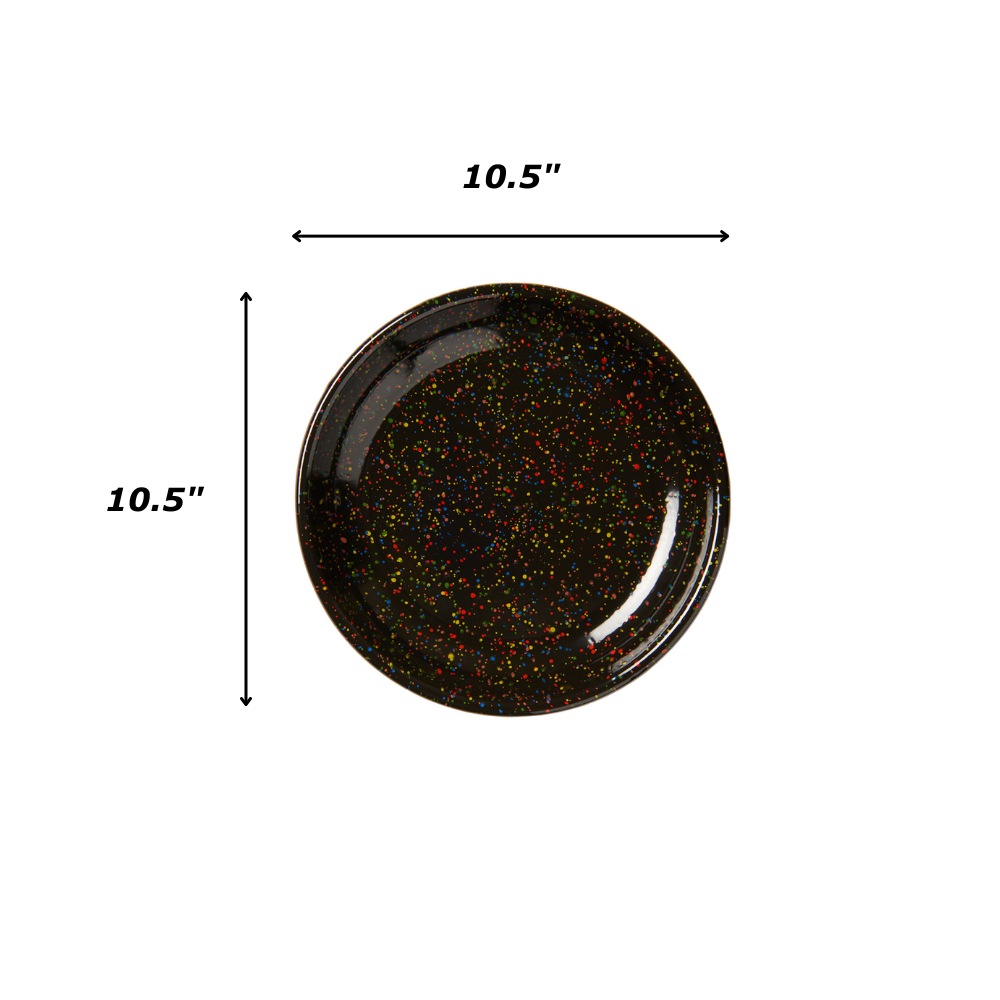 Crow Canyon Home - Rainbow Falls Coupe Dinner Plate - Black -