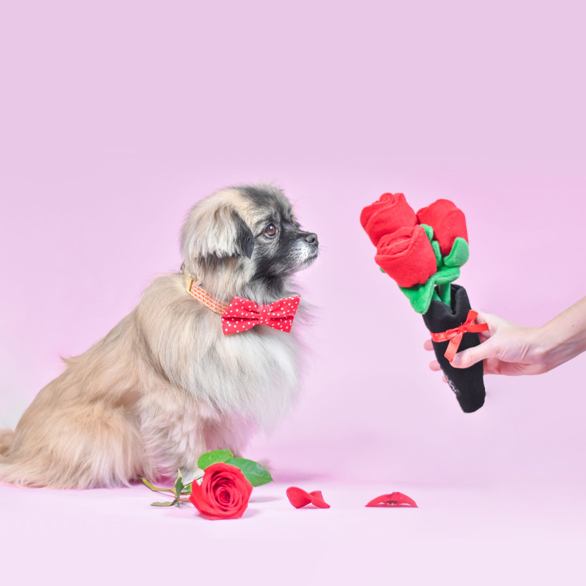 Zippy Paws - Zippy Burrow - Bouquet of Roses -