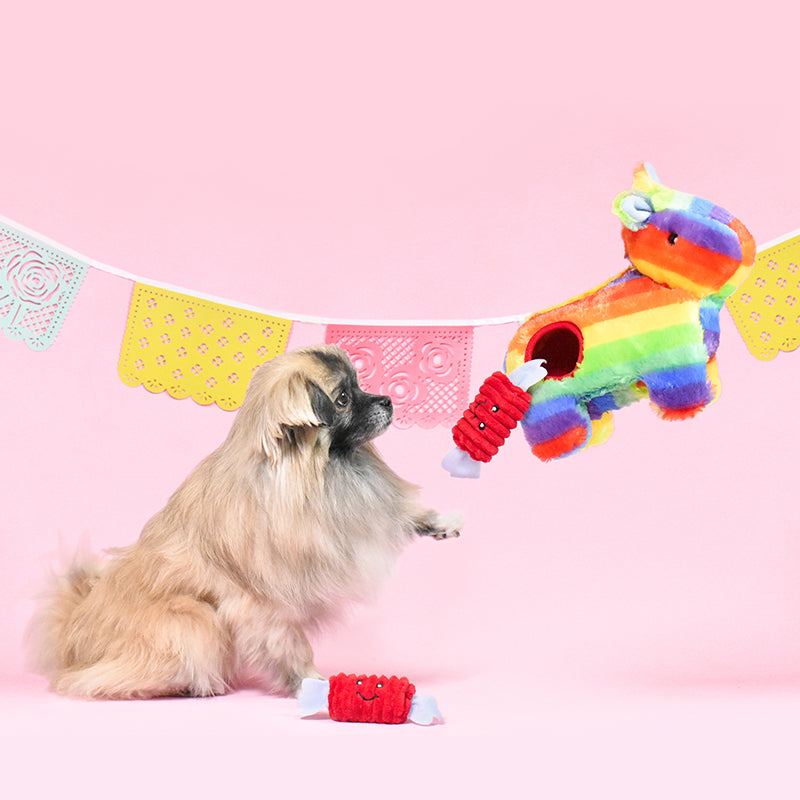 Zippy Paws - Zippy Burrow - Pinata -