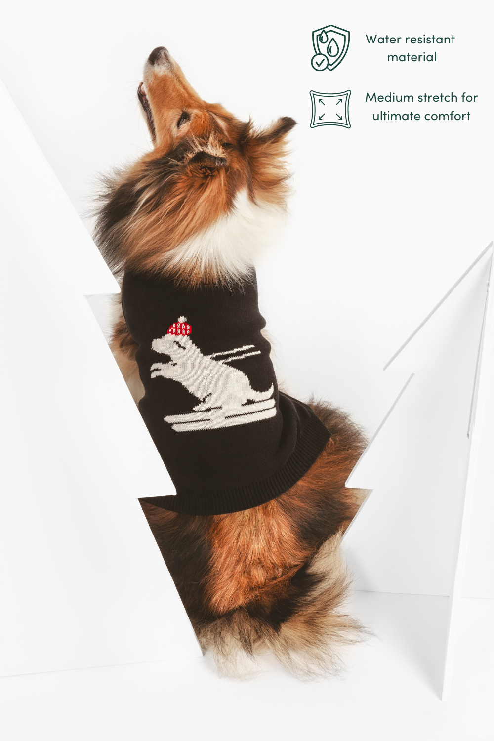 Shaya - Ski Pawtrol -